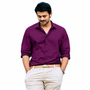 Stylish Man's Shirt Color - Wine